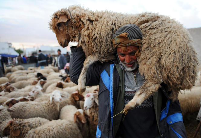 TUNISIA-RELIGION-ISLAM-EID Aid Kebir