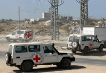 Gaza : Le nombre de dépouilles palestiniennes restituées atteint 345