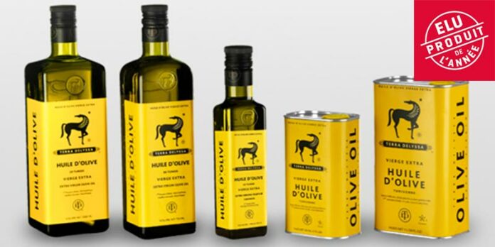 FAO : La Tunisie en route pour devenir le deuxième producteur mondial d’huile d’olive en 2025/26