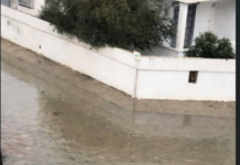 Inondations : des sangliers piégés par les eaux à Hammam-Lif