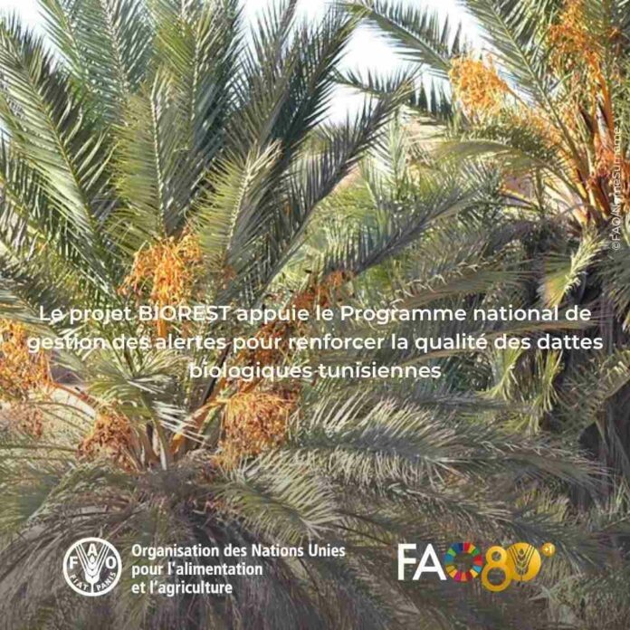 e projet BIOREST soutient un programme national stratégique