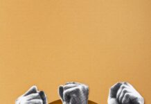 • Août 2026 : plus de 1 000 mouvements de protestation
